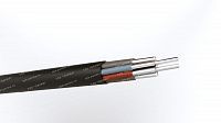 Кабель АКРВГ 10х6